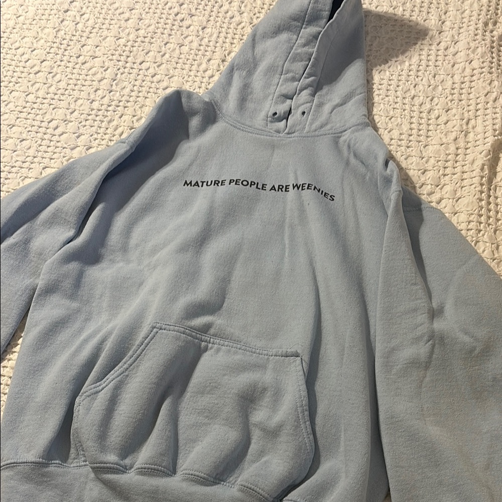 Light Blue Hoodie with Fun Text